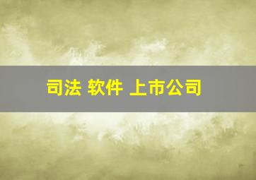 司法 软件 上市公司